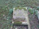 image of grave number 564556